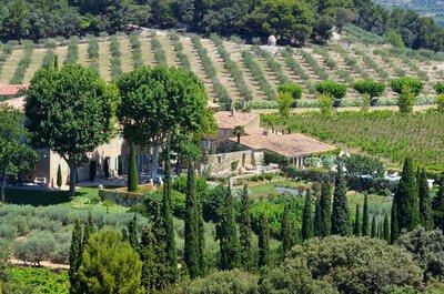 Arbres en Provence et paysage méditerranéen