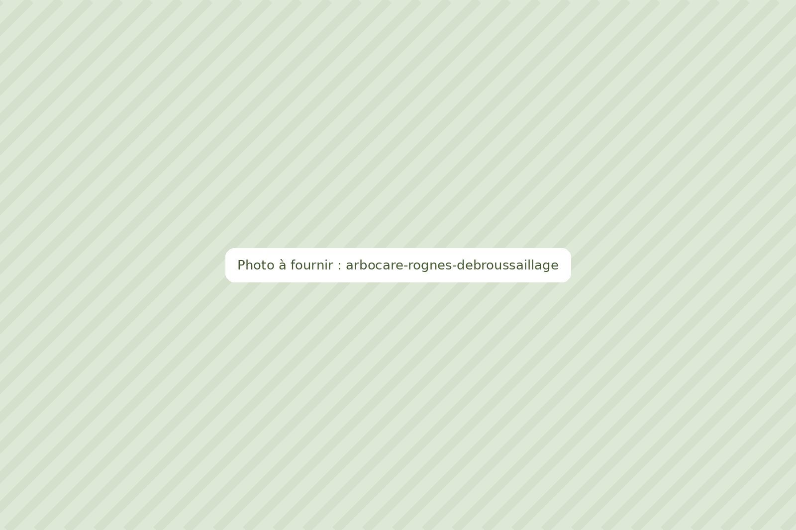 Débroussaillage à Rognes